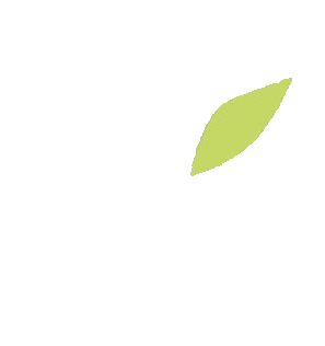 NEW LIFE